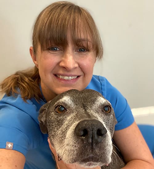 Dr. Casey Tift, Brookhaven Veterinarian